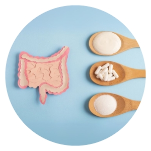 Alimentos ricos en bióticos - Pharmachem