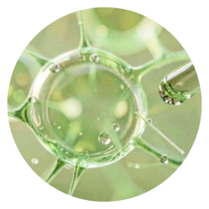 Células vegetales activas cosmética: Innovación y sostenibilidad