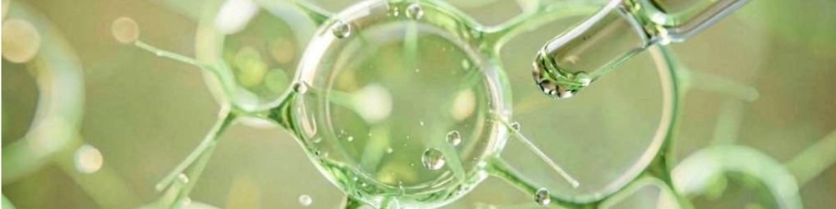 Células vegetales activas cosmética: Innovación y sostenibilidad en el cuidado de la piel