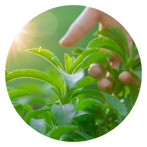 Endulzante natural: alternativas saludables al azúcar refinada