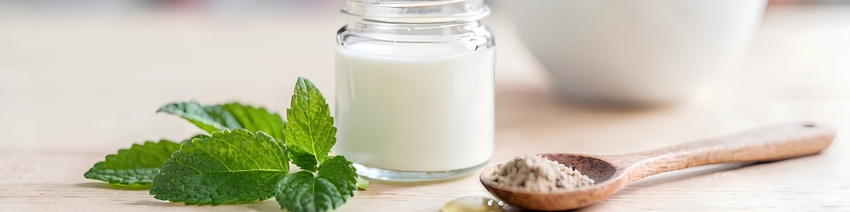 Extracto de stevia alimentación: Beneficios y usos en tu dieta diaria