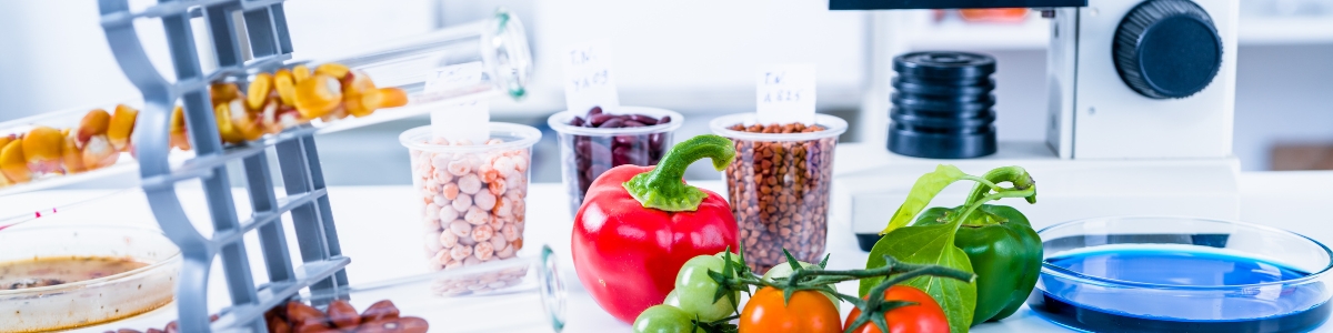 Food Tech Summit: La Cita Clave para la Innovación en Alimentos y Bebidas