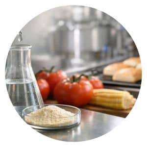 Review de enzimas en procesos alimentarios